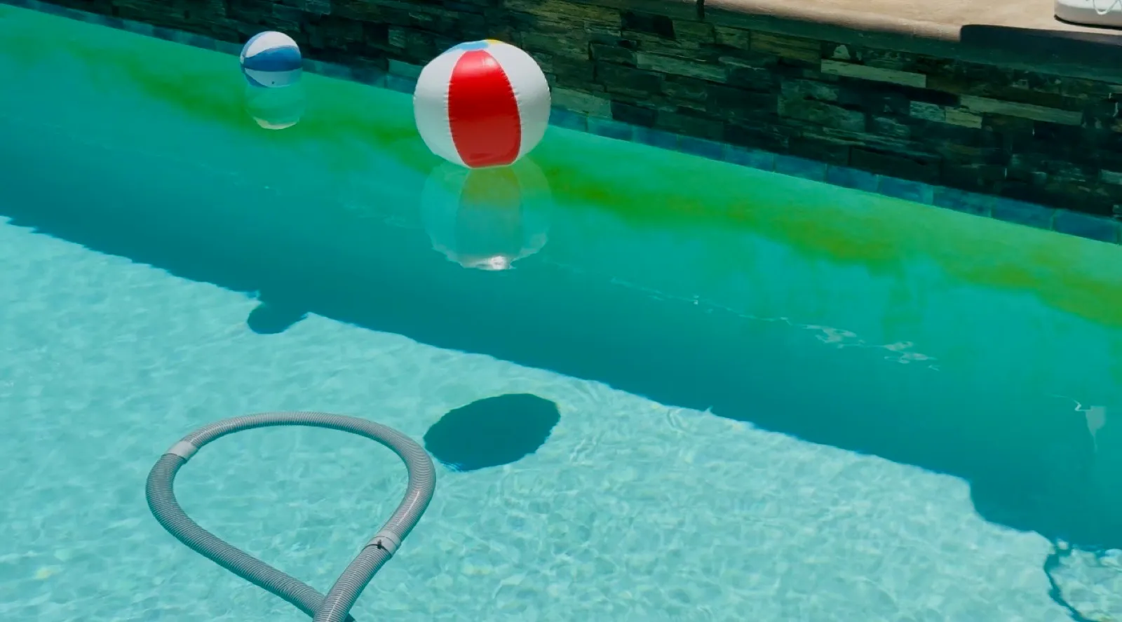 Pool with moderate green algae growing along the upper wall and waterline with vacuum hose and beach balls visible, showing early-stage algae outbreak before treatment service