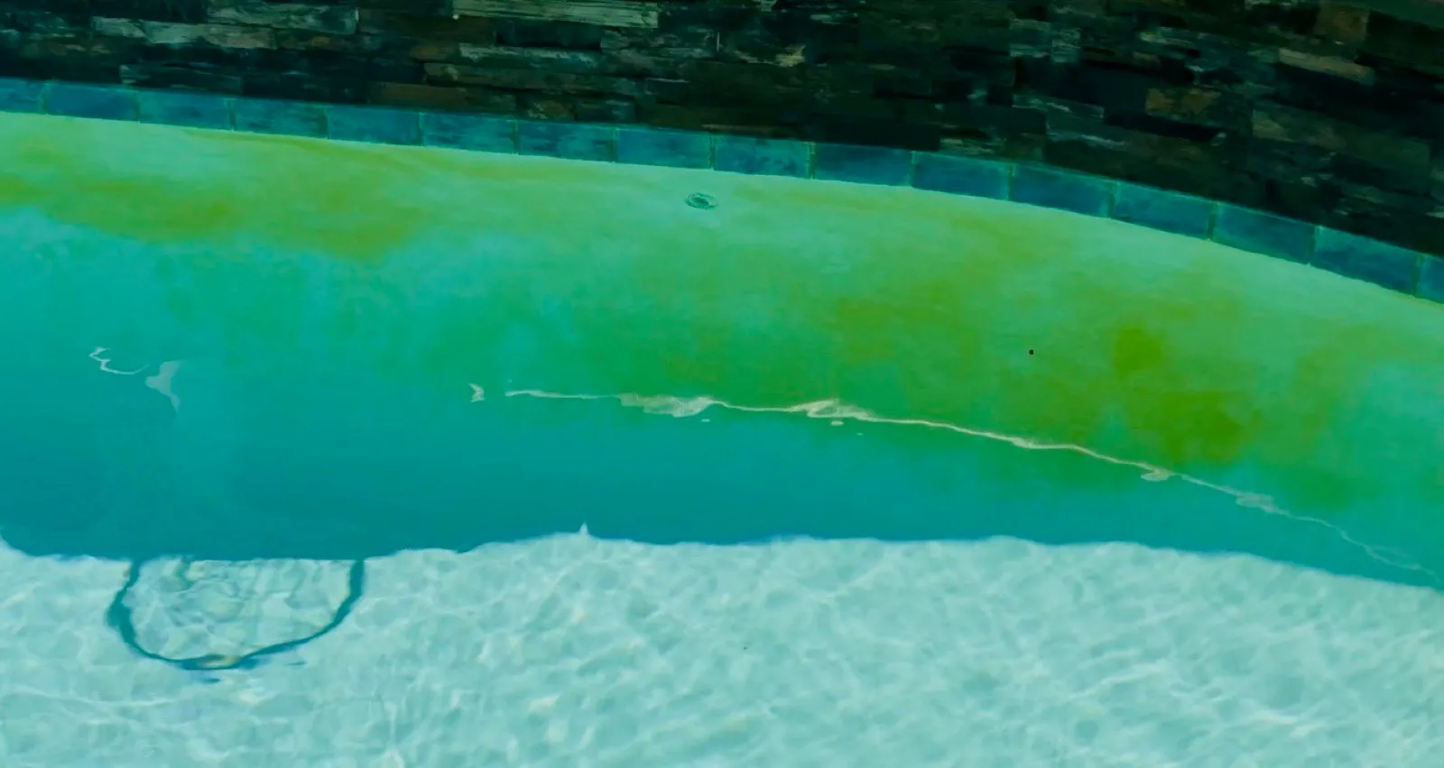 Severe green algae coating pool wall before Banana Pool & Spa Service algae treatment in Temescal Valley