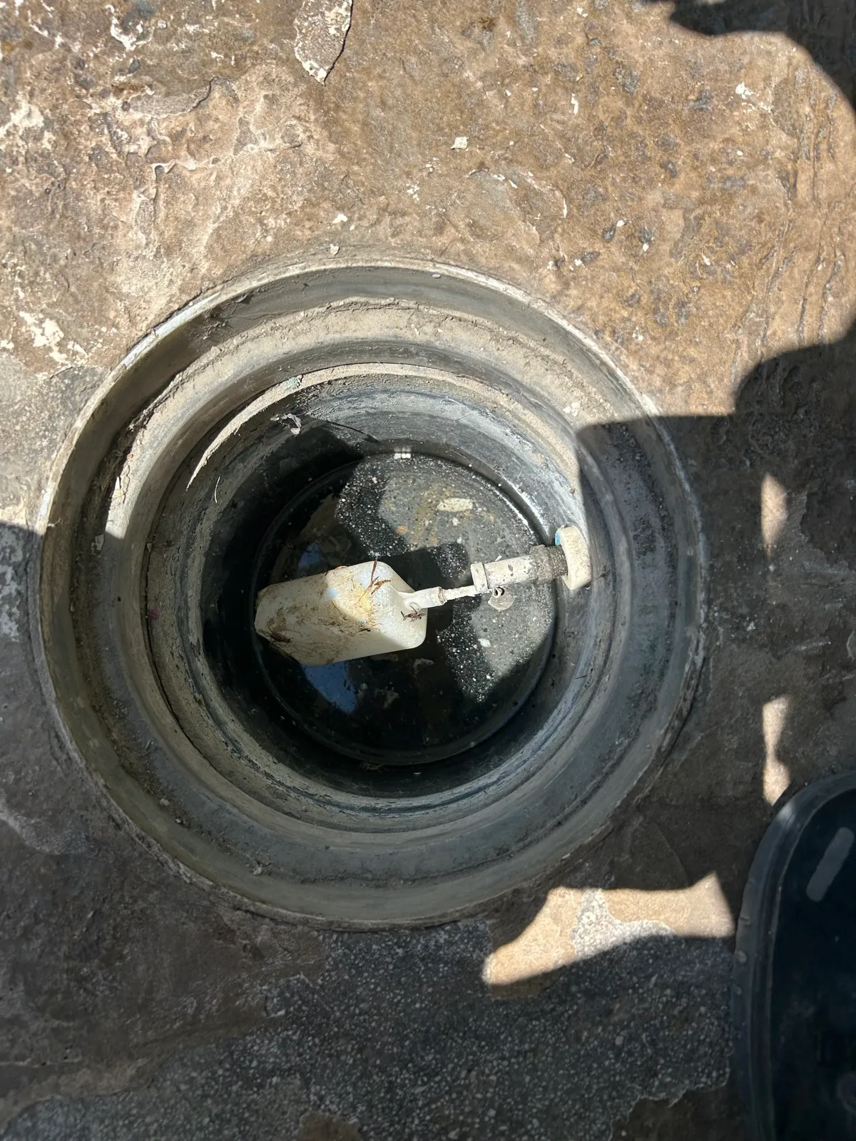 Close-up overhead view of a pool skimmer basket and float assembly during inspection as part of professional pool maintenance service in Temescal Valley, CA